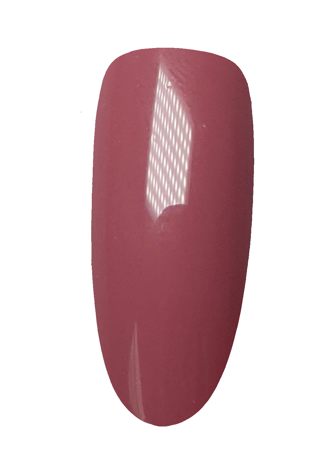 Master 2080 5ml