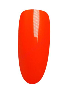 Master 2077 5ml - NEW Divoká mandarinka